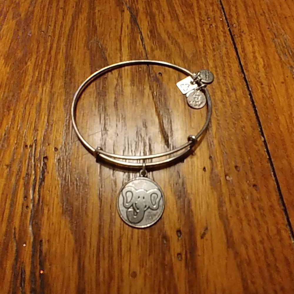 ALEX AND ANI BRACELET